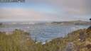 ./images/calvert/foggy-cove/20260426/foggy-cove20260426_085501M.jpg