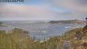 ./images/calvert/foggy-cove/20260426/foggy-cove20260426_090001M.jpg