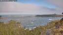./images/calvert/foggy-cove/20260426/foggy-cove20260426_090501M.jpg