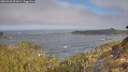 ./images/calvert/foggy-cove/20260426/foggy-cove20260426_091001M.jpg