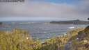 ./images/calvert/foggy-cove/20260426/foggy-cove20260426_091501M.jpg