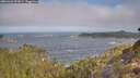 ./images/calvert/foggy-cove/20260426/foggy-cove20260426_092001M.jpg