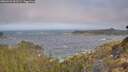 ./images/calvert/foggy-cove/20260426/foggy-cove20260426_092501M.jpg