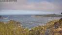 ./images/calvert/foggy-cove/20260426/foggy-cove20260426_093002M.jpg