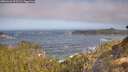 ./images/calvert/foggy-cove/20260426/foggy-cove20260426_093501M.jpg