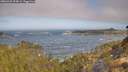 ./images/calvert/foggy-cove/20260426/foggy-cove20260426_094001M.jpg