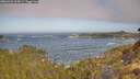 ./images/calvert/foggy-cove/20260426/foggy-cove20260426_094501M.jpg