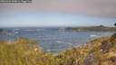 ./images/calvert/foggy-cove/20260426/foggy-cove20260426_095001M.jpg