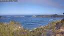 ./images/calvert/foggy-cove/20260426/foggy-cove20260426_095501M.jpg
