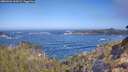 ./images/calvert/foggy-cove/20260426/foggy-cove20260426_100501M.jpg