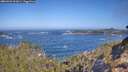 ./images/calvert/foggy-cove/20260426/foggy-cove20260426_101001M.jpg