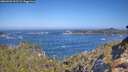 ./images/calvert/foggy-cove/20260426/foggy-cove20260426_101501M.jpg