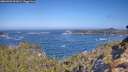 ./images/calvert/foggy-cove/20260426/foggy-cove20260426_102001M.jpg