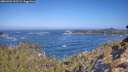 ./images/calvert/foggy-cove/20260426/foggy-cove20260426_102501M.jpg