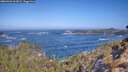 ./images/calvert/foggy-cove/20260426/foggy-cove20260426_103001M.jpg