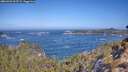 ./images/calvert/foggy-cove/20260426/foggy-cove20260426_103501M.jpg