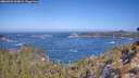 ./images/calvert/foggy-cove/20260426/foggy-cove20260426_104001M.jpg
