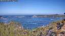 ./images/calvert/foggy-cove/20260426/foggy-cove20260426_104501M.jpg