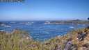 ./images/calvert/foggy-cove/20260426/foggy-cove20260426_105001M.jpg