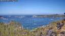 ./images/calvert/foggy-cove/20260426/foggy-cove20260426_105501M.jpg