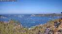 ./images/calvert/foggy-cove/20260426/foggy-cove20260426_110002M.jpg