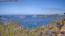./images/calvert/foggy-cove/20260426/foggy-cove20260426_110501M.jpg