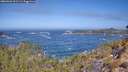 ./images/calvert/foggy-cove/20260426/foggy-cove20260426_111501M.jpg