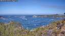 ./images/calvert/foggy-cove/20260426/foggy-cove20260426_112001M.jpg