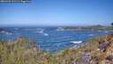 ./images/calvert/foggy-cove/20260426/foggy-cove20260426_112501M.jpg