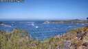 ./images/calvert/foggy-cove/20260426/foggy-cove20260426_113002M.jpg