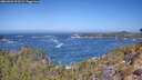 ./images/calvert/foggy-cove/20260426/foggy-cove20260426_113501M.jpg