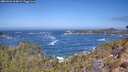 ./images/calvert/foggy-cove/20260426/foggy-cove20260426_114002M.jpg