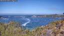 ./images/calvert/foggy-cove/20260426/foggy-cove20260426_115001M.jpg