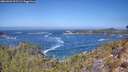 ./images/calvert/foggy-cove/20260426/foggy-cove20260426_115501M.jpg