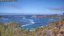 ./images/calvert/foggy-cove/20260426/foggy-cove20260426_120501M.jpg
