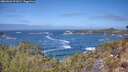 ./images/calvert/foggy-cove/20260426/foggy-cove20260426_121001M.jpg