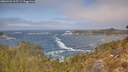 ./images/calvert/foggy-cove/20260426/foggy-cove20260426_123501M.jpg