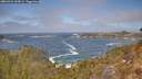 ./images/calvert/foggy-cove/20260426/foggy-cove20260426_125001M.jpg