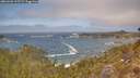 ./images/calvert/foggy-cove/20260426/foggy-cove20260426_125501M.jpg