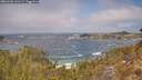 ./images/calvert/foggy-cove/20260426/foggy-cove20260426_131501M.jpg