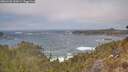 ./images/calvert/foggy-cove/20260426/foggy-cove20260426_132001M.jpg