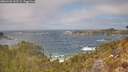 ./images/calvert/foggy-cove/20260426/foggy-cove20260426_132501M.jpg