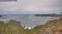 ./images/calvert/foggy-cove/20260426/foggy-cove20260426_133501M.jpg