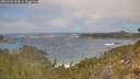./images/calvert/foggy-cove/20260426/foggy-cove20260426_134001M.jpg