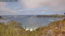 ./images/calvert/foggy-cove/20260426/foggy-cove20260426_134502M.jpg