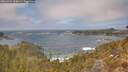 ./images/calvert/foggy-cove/20260426/foggy-cove20260426_135001M.jpg