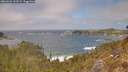 ./images/calvert/foggy-cove/20260426/foggy-cove20260426_135501M.jpg
