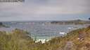 ./images/calvert/foggy-cove/20260426/foggy-cove20260426_140001M.jpg