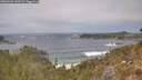 ./images/calvert/foggy-cove/20260426/foggy-cove20260426_140502M.jpg