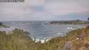./images/calvert/foggy-cove/20260426/foggy-cove20260426_141001M.jpg